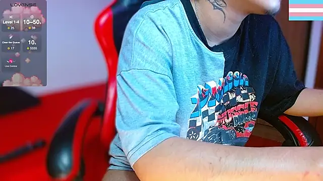 Hgp3riodictabl3 webcam