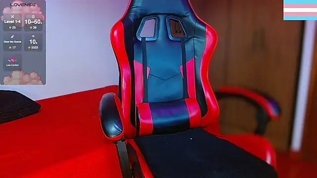 Hgp3riodictabl3 webcam