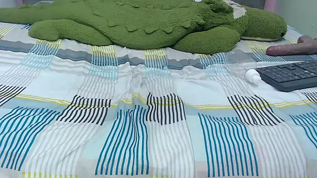 Madison_Copers webcam