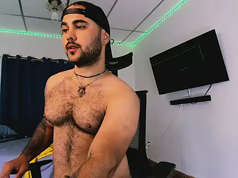 Sebas-hott webcam