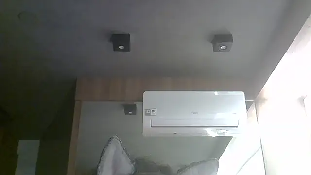SkinnyKitten webcam
