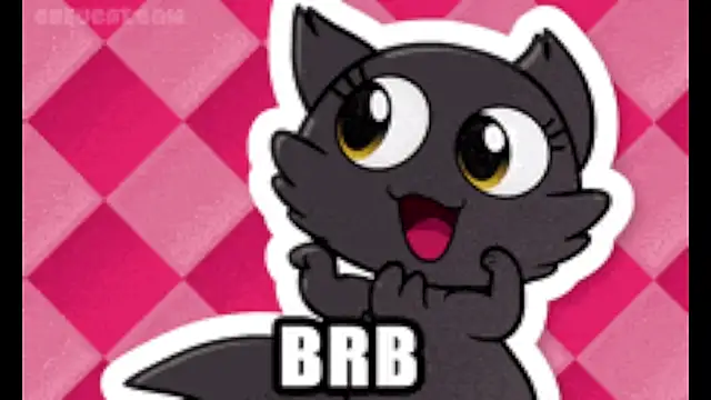 elaia_muller_ webcam