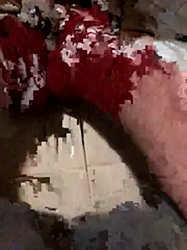 josueswvillaA1 webcam