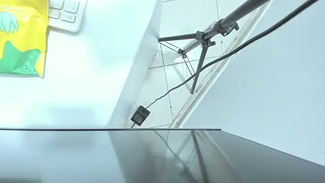 Roxanedewalle webcam