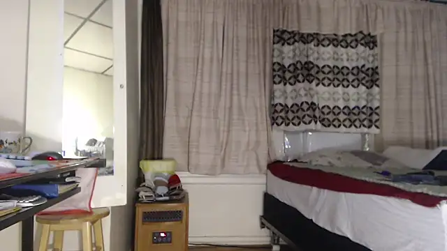 ANALTRAINING2 webcam