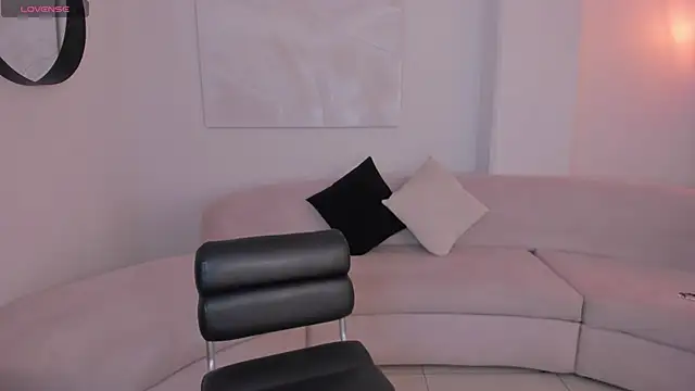 LaurentConnor webcam