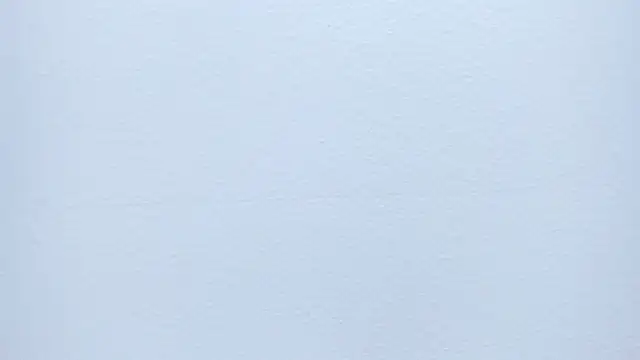 abigail_smith15 webcam