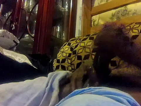 LookingLover34 webcam