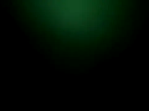 Butterfly8385 webcam