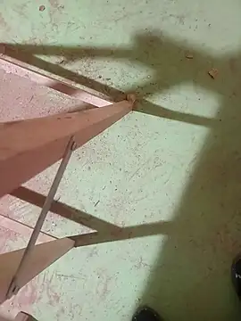 GeilerSchweizer webcam