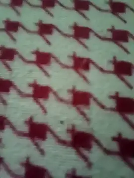 minakshi112233 webcam