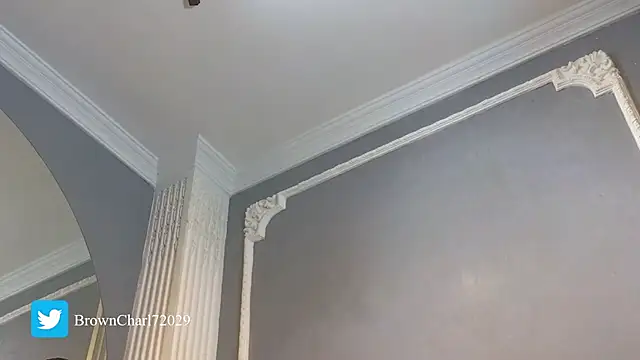 CharlesBrown_ webcam