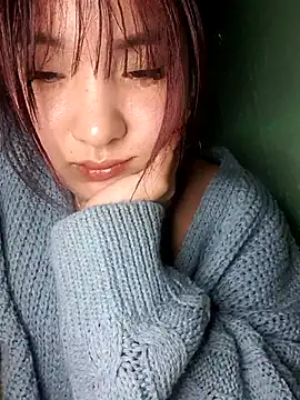 Linksys_nicee webcam