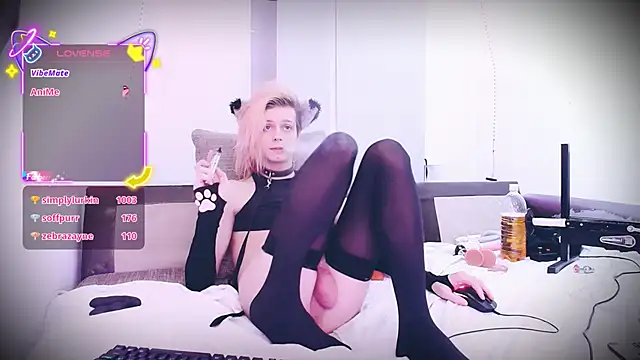 Littlepinkcat webcam