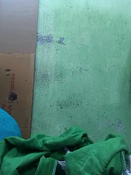 Tamilselviroja- webcam