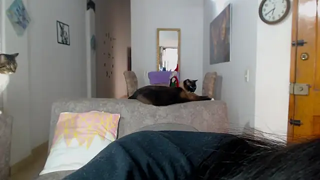 divinepleasury webcam