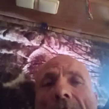 professorstudy webcam