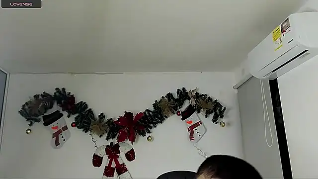 jeanfran_ferrer webcam