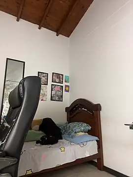 Paulina-Wells webcam