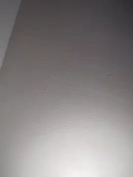 ReallyReallyReal webcam