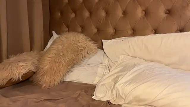 luuvrri_21 (T teen) - be the  king in my room