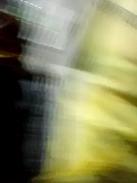 Priyanka_thakurr webcam