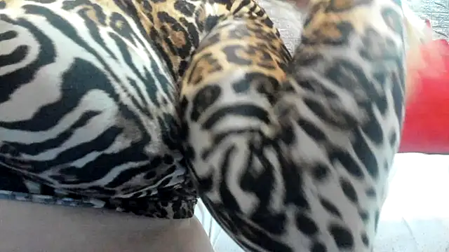 kalindahot - Kalindahot's free webcam