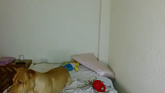 britny_clouds webcam