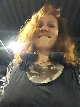 Exhibitionsplit webcam