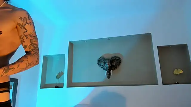 Preview of felix__star