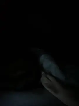 anonimus150600 webcam