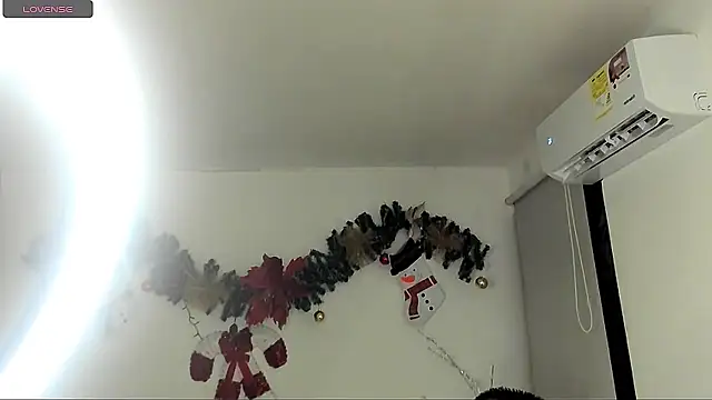 jeanfran_ferrer webcam