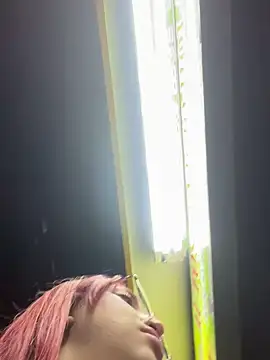 Paulina-Wells webcam