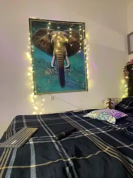 alisaa_jhons1 webcam stripchat model stream image