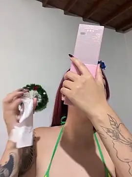 Paulina-Wells webcam