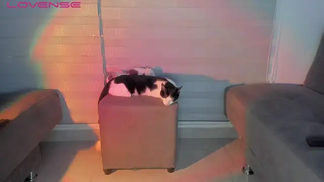 Murasaki_doll webcam