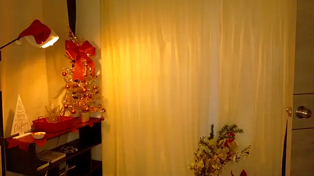 imrose_mar1423 webcam