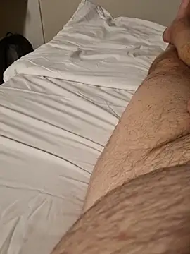 Scorpions2025 webcam