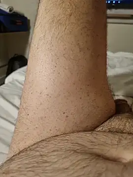 Scorpions2025 webcam