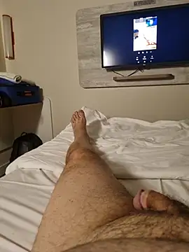 Scorpions2025 webcam