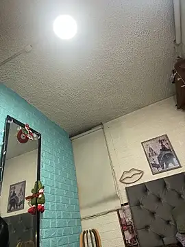 SALOME_KORLAND webcam