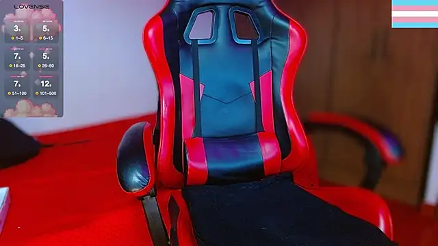 Hgp3riodictabl3 webcam