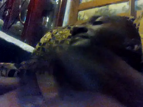 LookingLover34 webcam