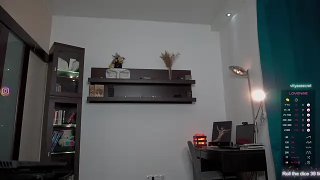 VIktorSecret webcam