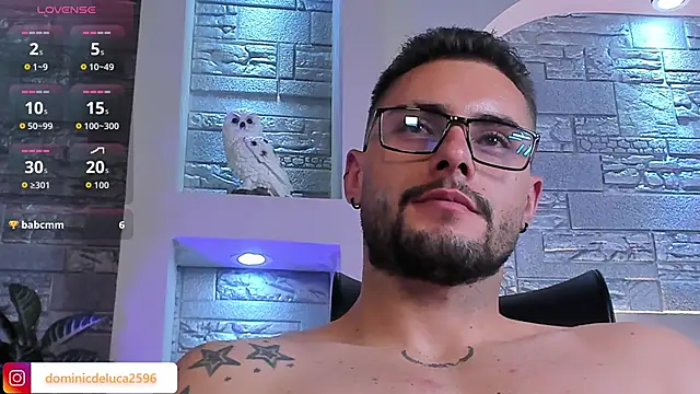 dominic_de_luca webcam