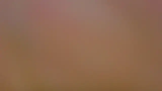 BeatrixCarIeton webcam