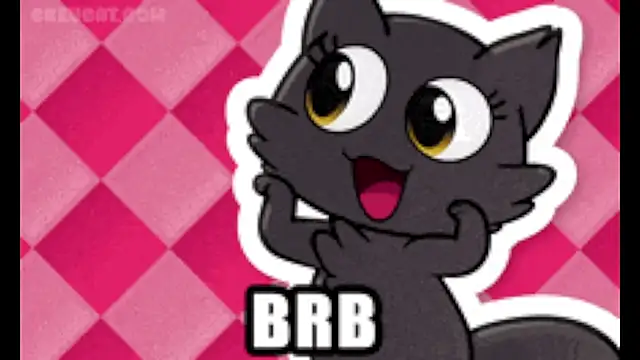 elaia_muller_ webcam