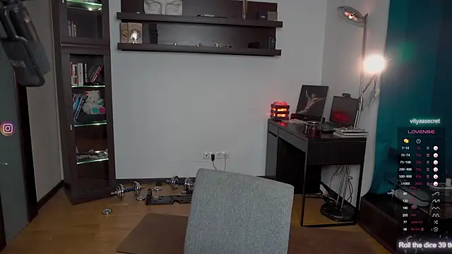 VIktorSecret webcam