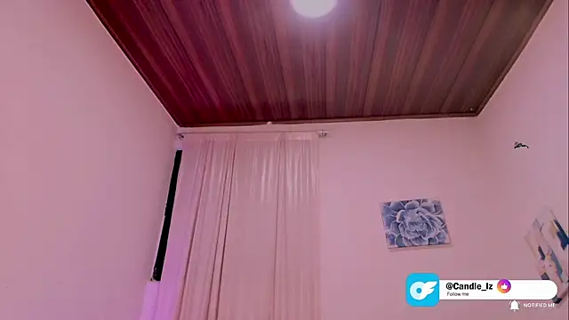 Candle__lz webcam