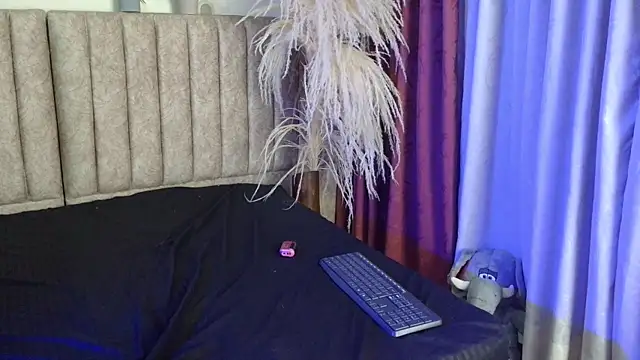 LittleStar_SM webcam